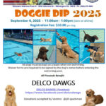 Doggie Dip